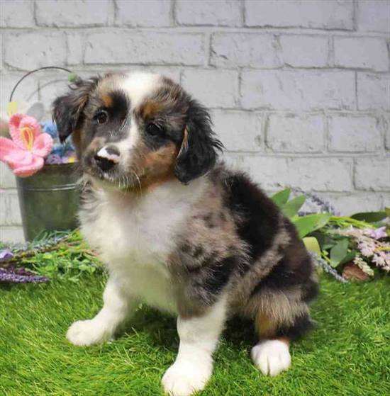 Barnaby